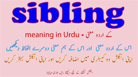 sibling rivalry meaning in urdu
